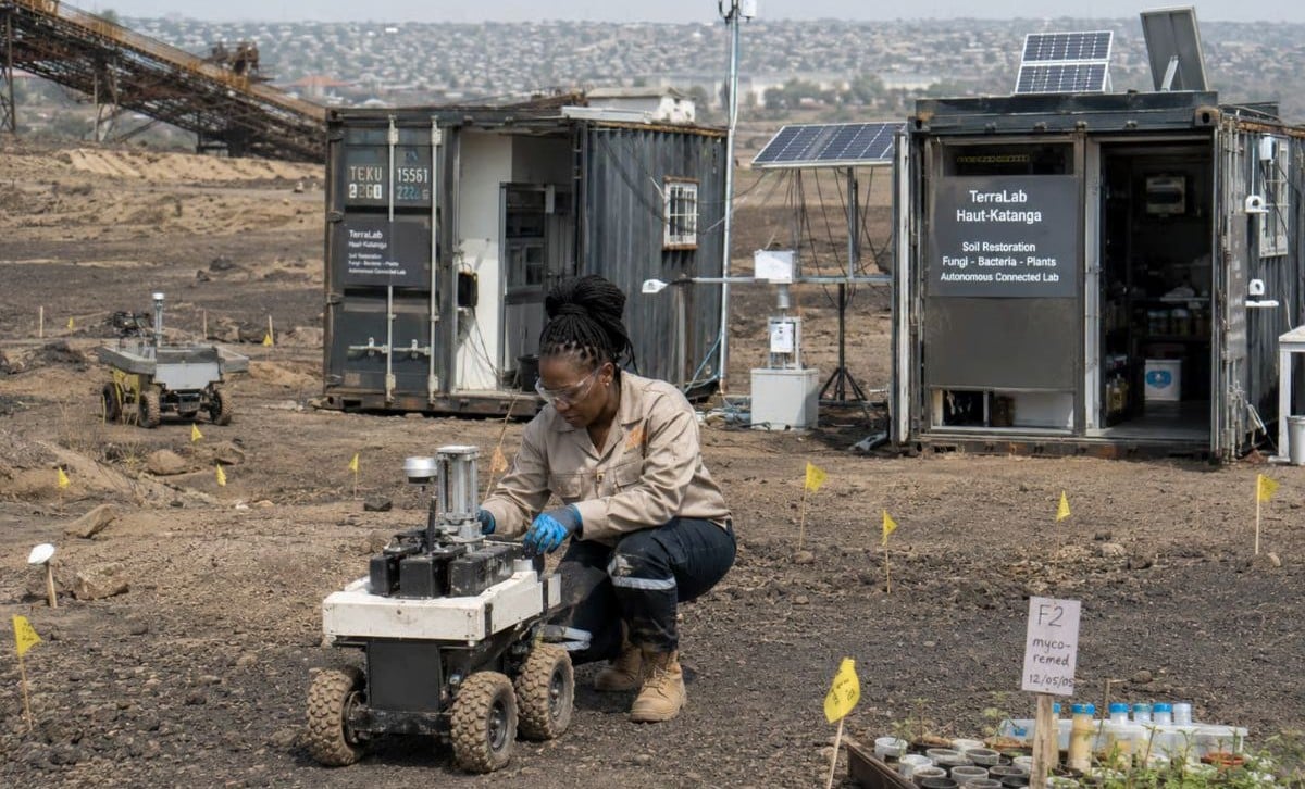 Lessons from the frontier of AI in international development