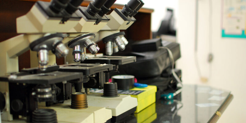 Row of microscopes in a lab