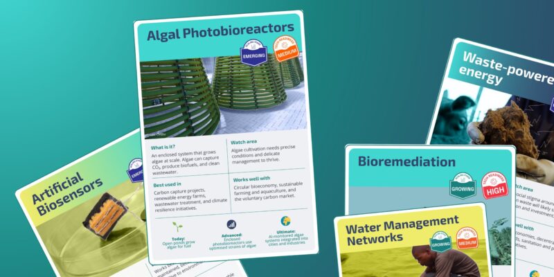 graphic showing a selection of cards which illustrate different kinds of technology. The top card shows algal photobioreactors